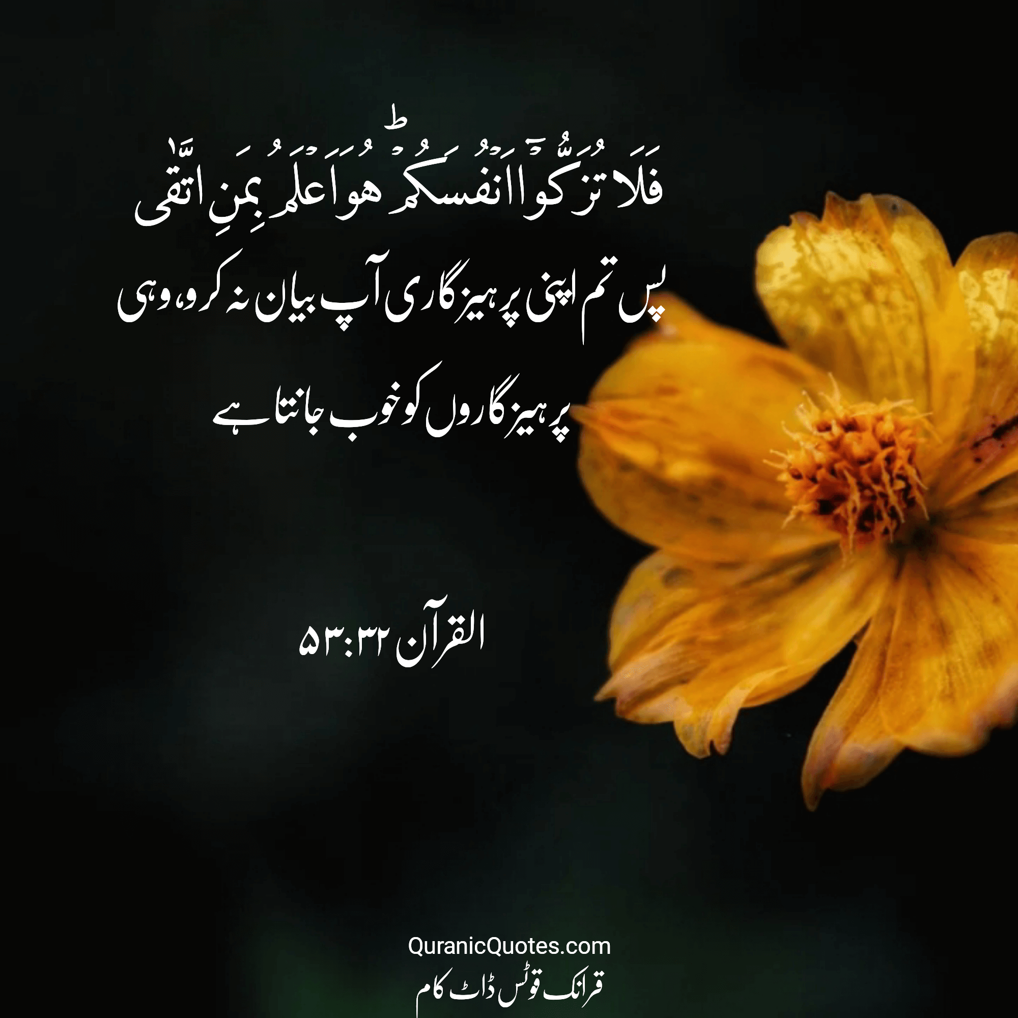 Quranic Quotes Urdu #230
