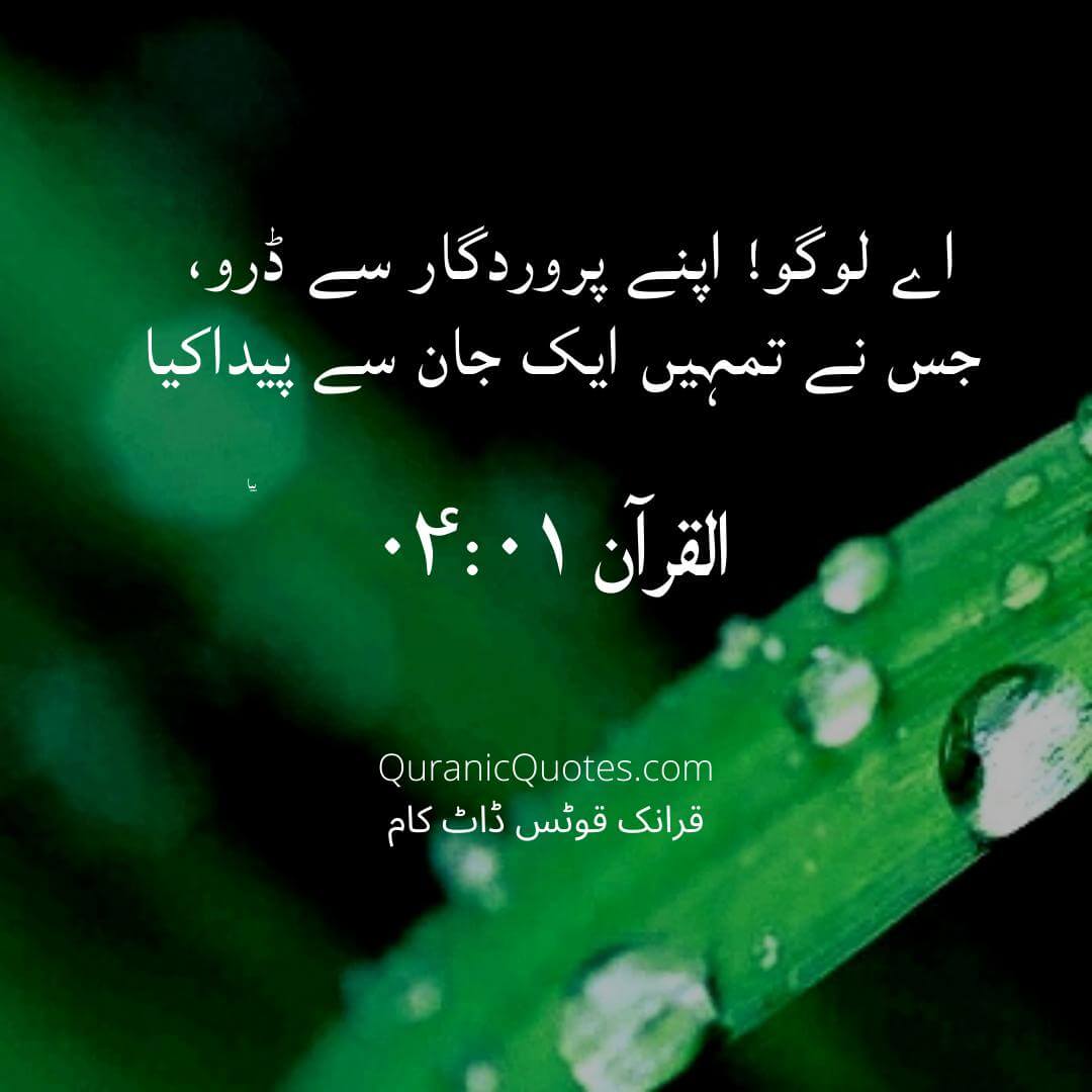 Quranic Quotes Urdu #231