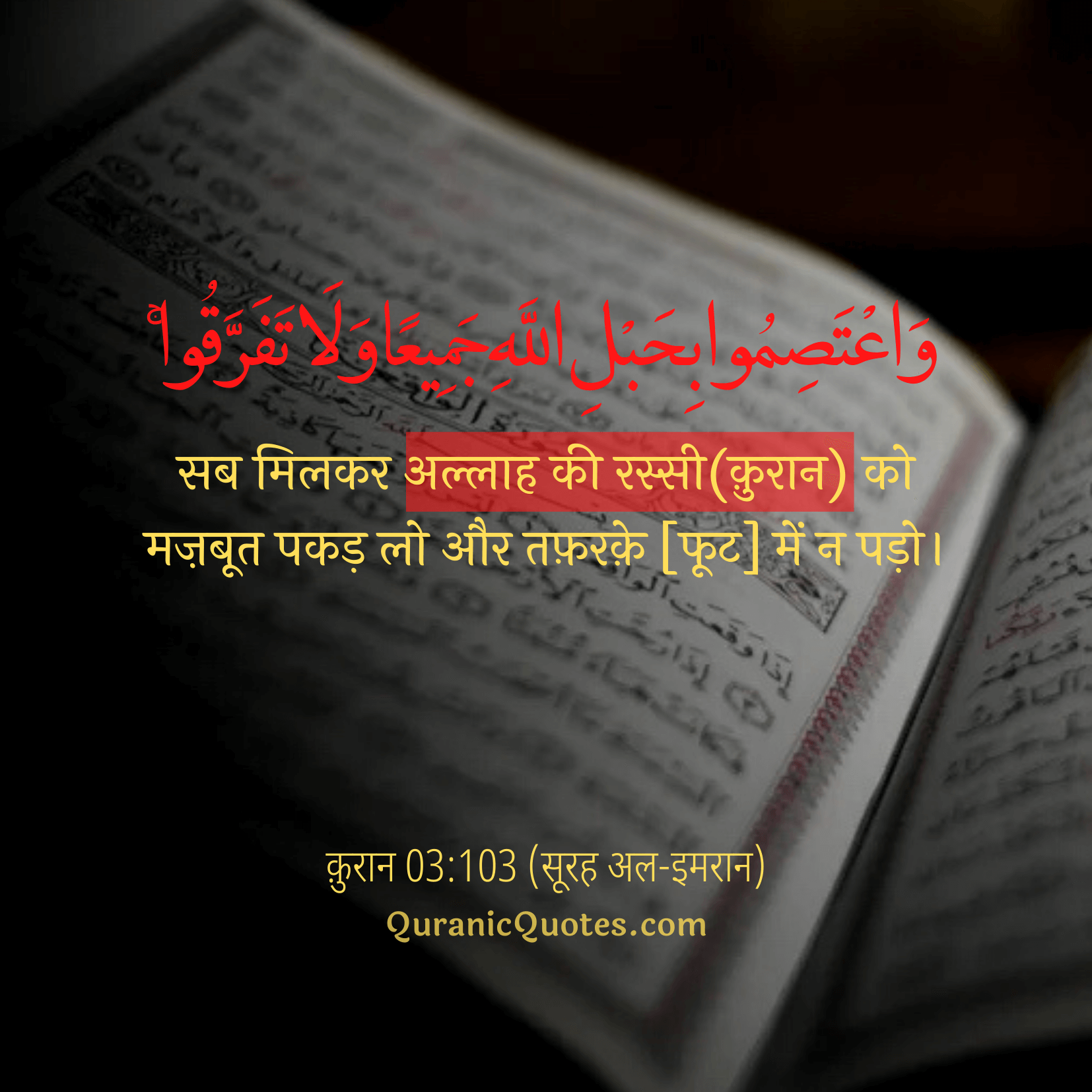 Quranic Quotes Hindi #164