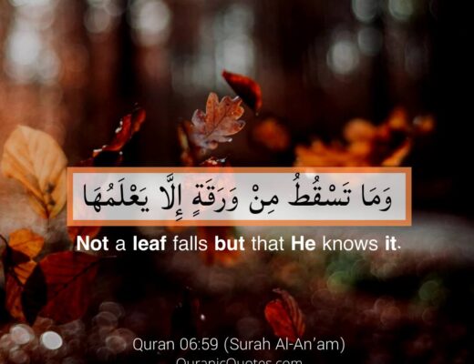 #347 The Quran 06:59 (Surah al-An’am)