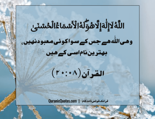 #257 The Quran 20:08 – (Surah Ta-Ha)