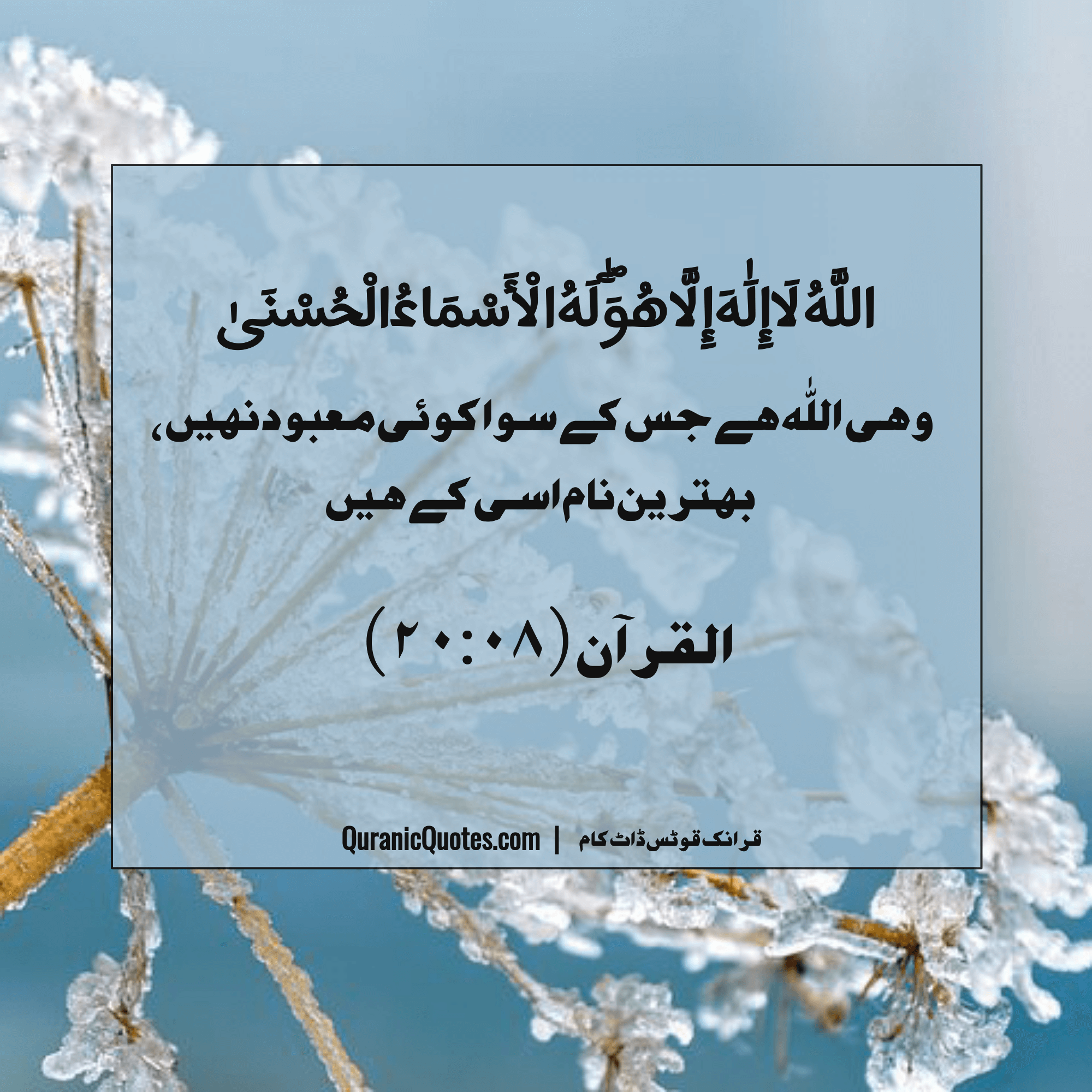 Quranic Quotes Urdu #257