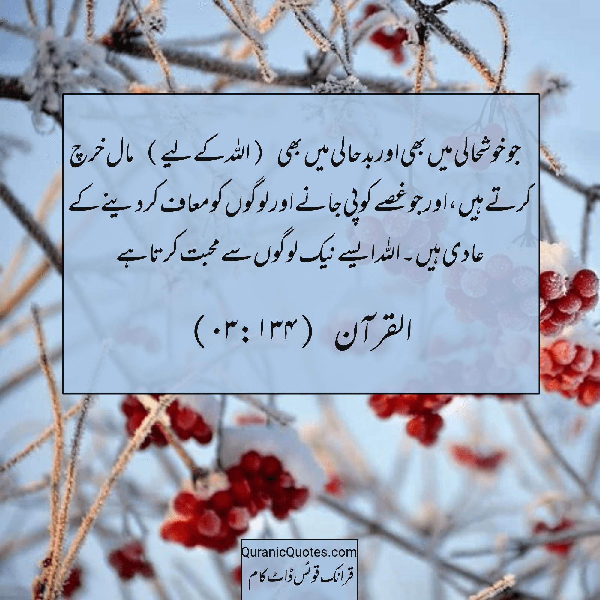 Quranic Quotes Urdu #235
