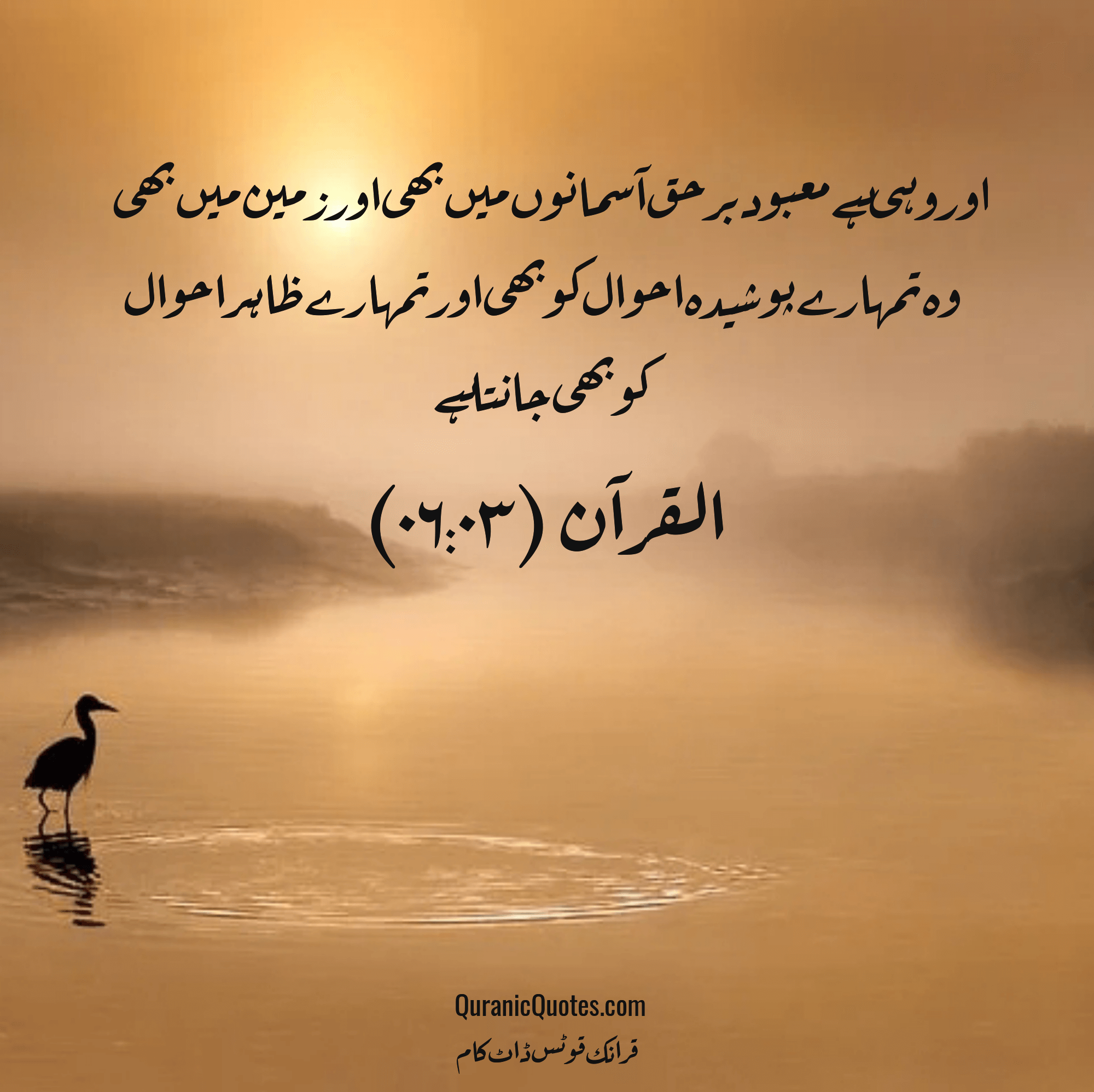 Quranic Quotes Urdu #239