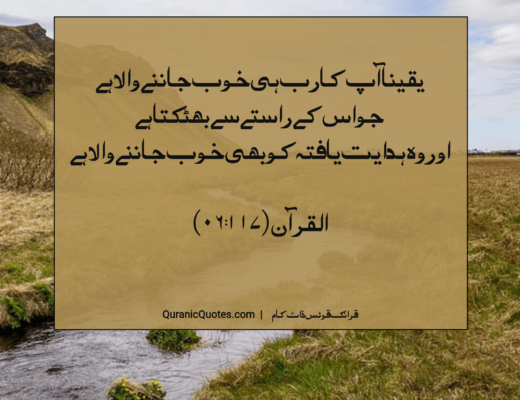 #241 The Quran 06:117 – (Surah al-An’am)