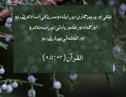 #249 The Quran 05:02 – (Surah al-Ma’idah)