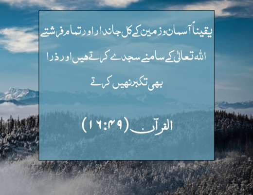 #253 The Quran 16:49 – (Surah an-Nahl)