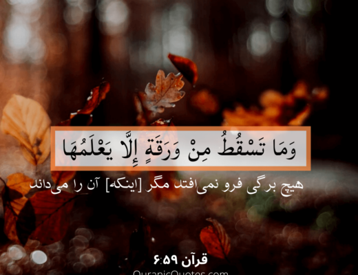 #01 The Quran 06:59 (Surah al-An’am)
