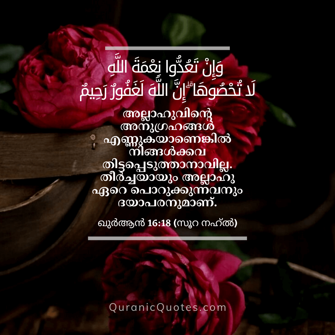 Quranic Quotes in Malayalam 16:18