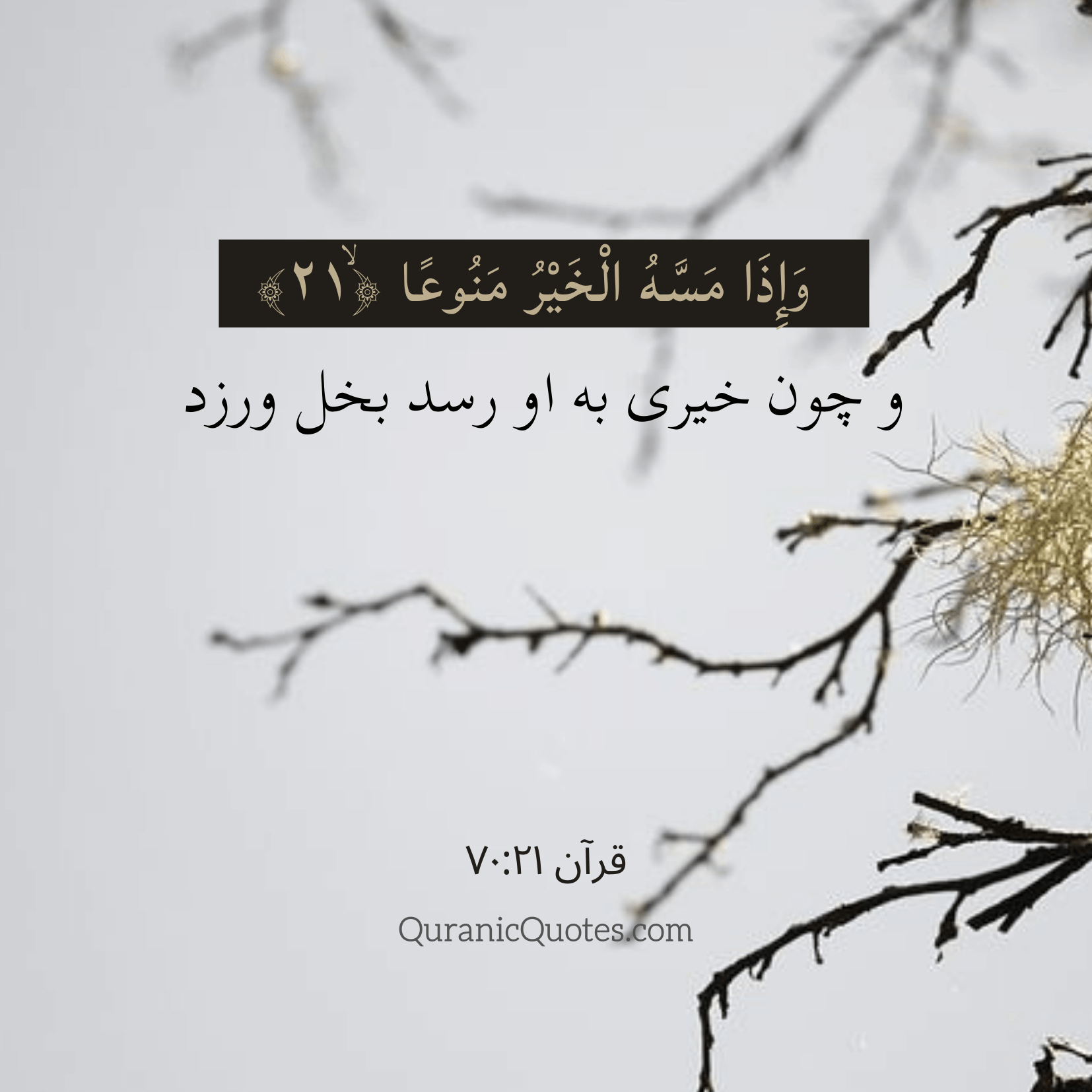 Quranic Quotes in Farsi 70:21