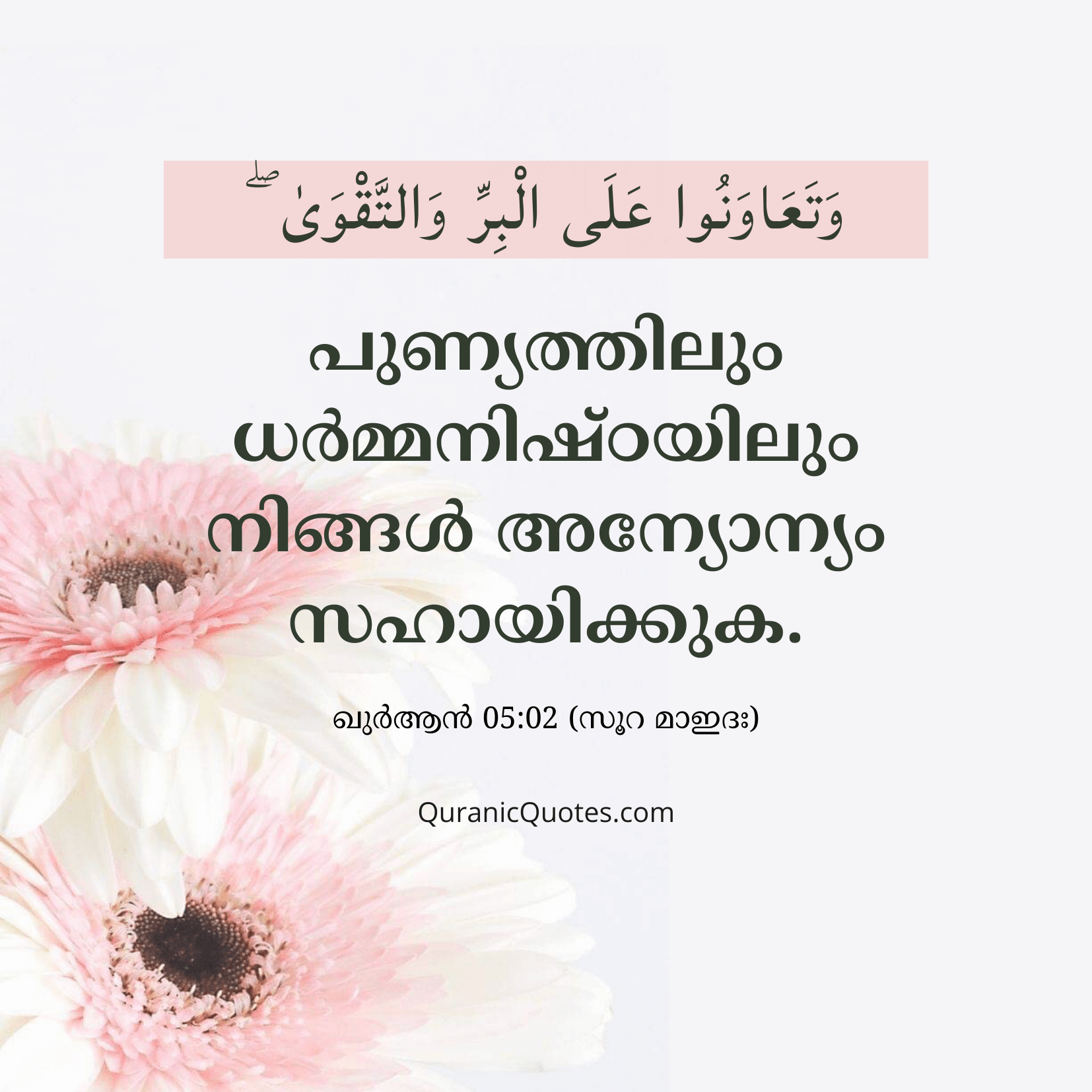 Quranic Quotes in Malayalam 5:2
