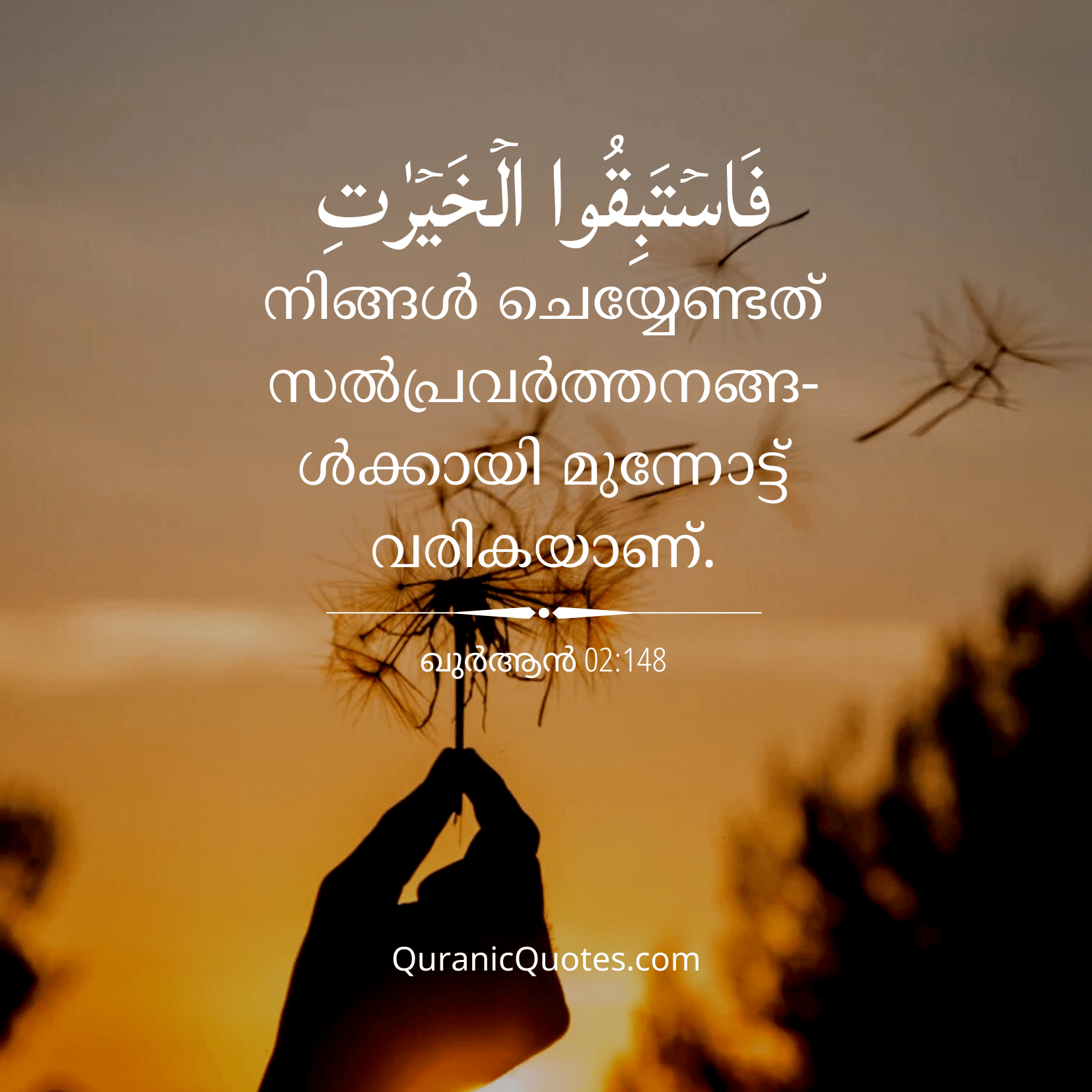 Quranic Quotes in Malayalam 2:148