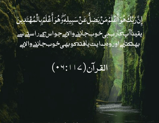 #289 The Quran 06:117 – (Surah al-An’am)