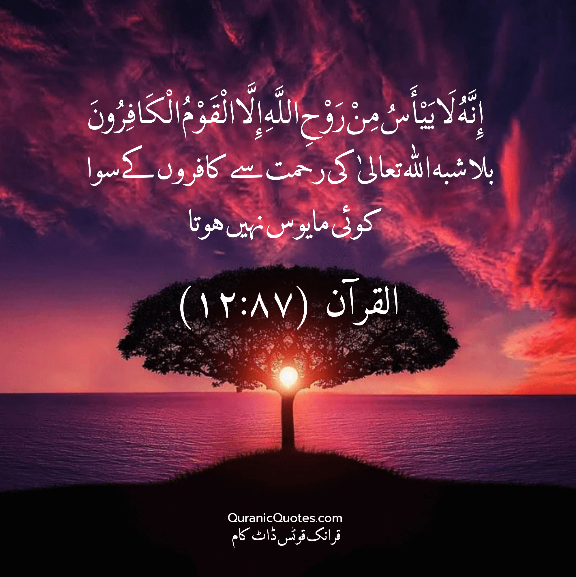 Quranic Quotes Urdu #305