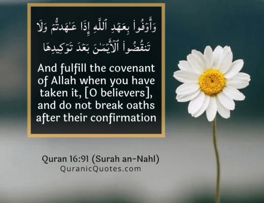 #376 The Quran 16:91 (Surah an-Nahl)