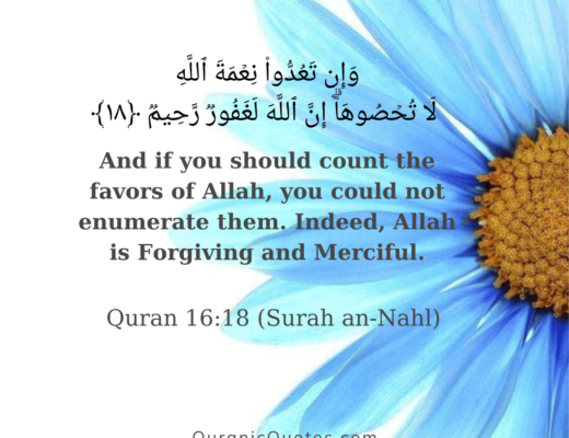 #390 The Quran 16:18 (Surah an-Nahl)