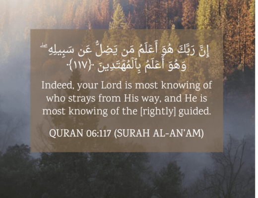 #368 The Quran 06:117 (Surah al-An’am)