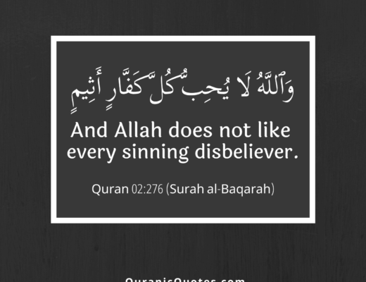 #371 The Quran 02:276 (Surah al-Baqarah)