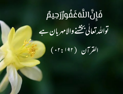 #331 The Quran 02:192 (Surah al-Baqarah)