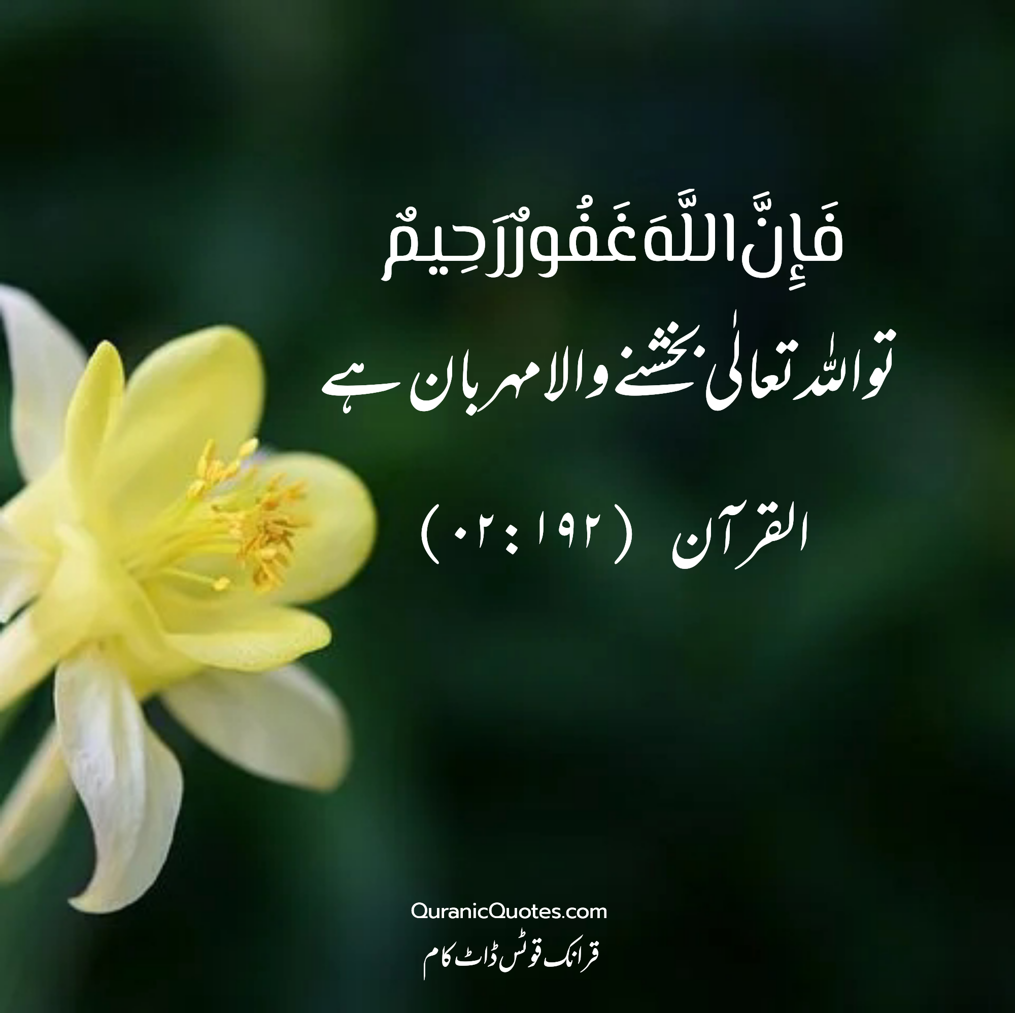 quran-quotes-urdu-02-192