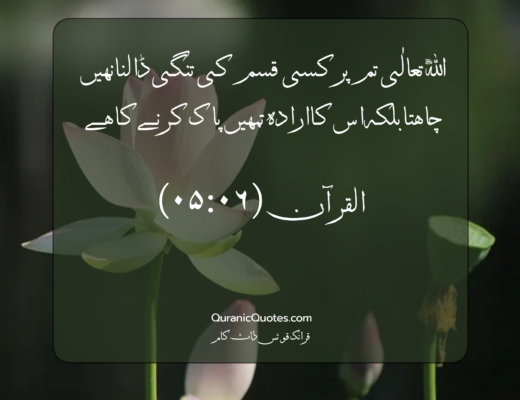#333 The Quran 05:06 (Surah al-Ma’idah)