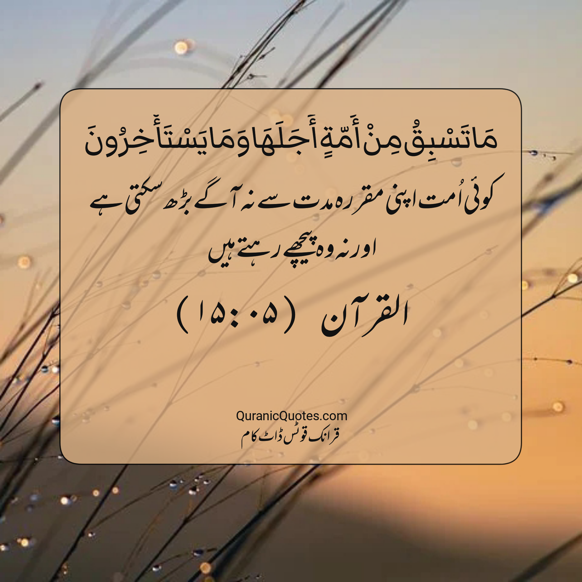quran-quotes-urdu-15-05