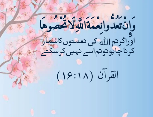 #315 The Quran 16:18 (Surah an-Nahl)