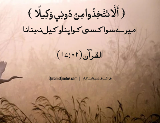 #312 The Quran 17:02 (Surah al-Isra)