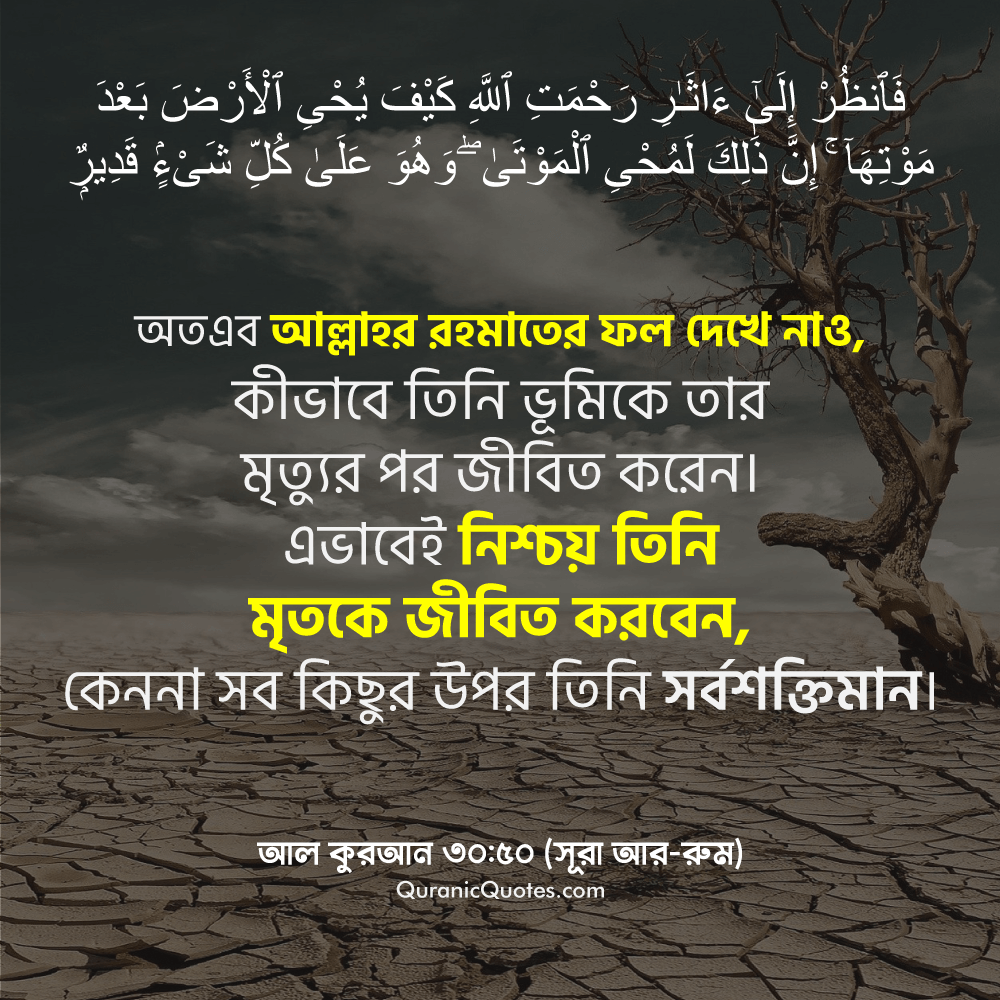 Quranic Quotes in Bangla 16