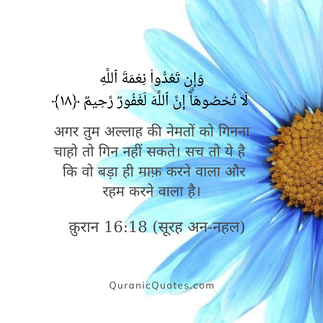 Quranic Quotes Hindi #192Quranic Quotes Hindi #211