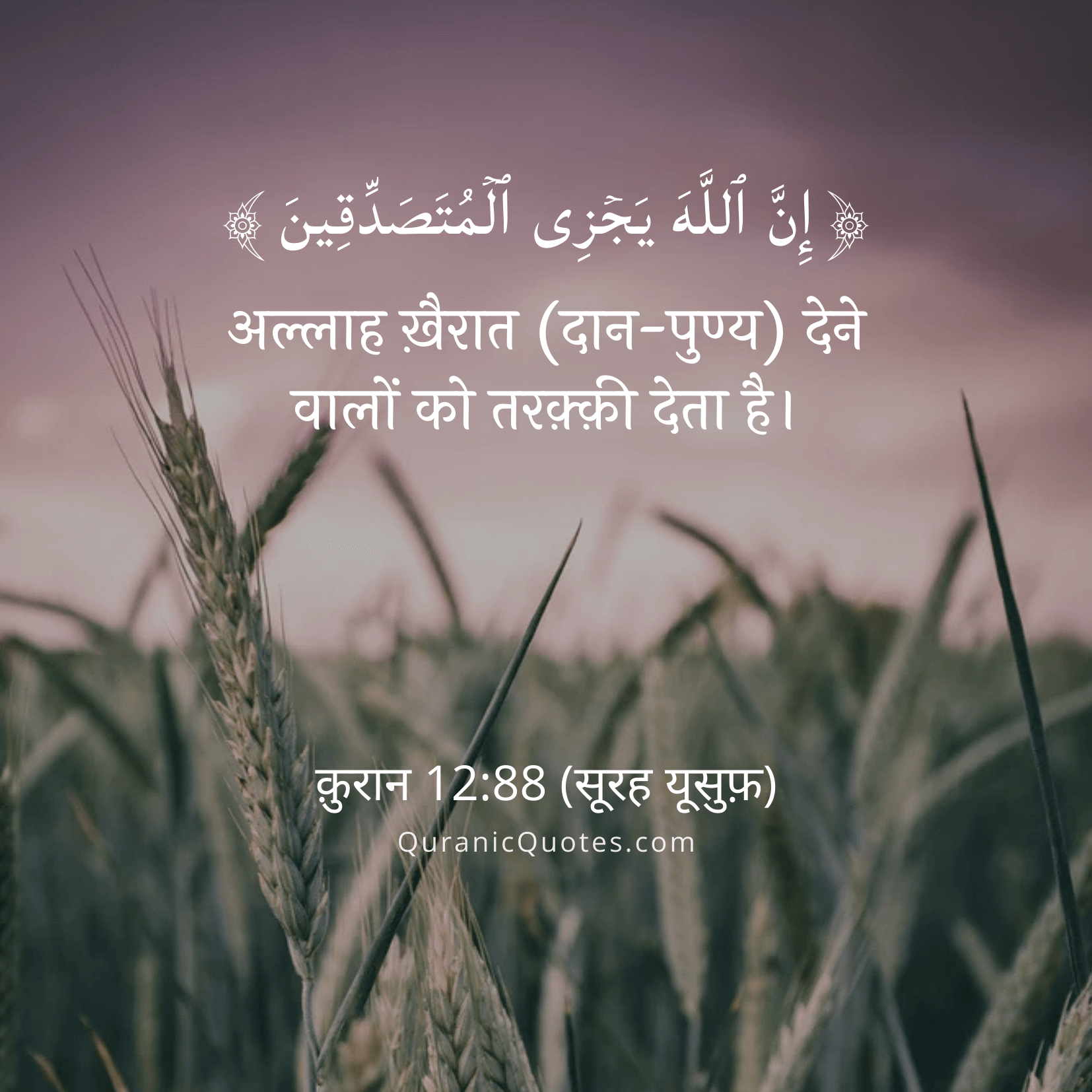 Quranic Quotes Hindi #192Quranic Quotes Hindi #212