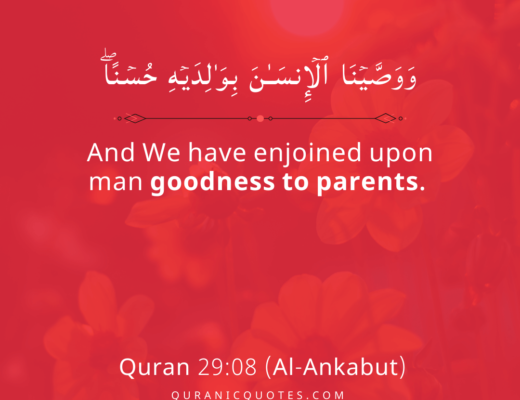 #397 The Quran 29:08 (Surah al-Ankabut)