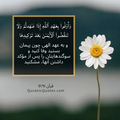 Quranic Quotes in Farsi 113