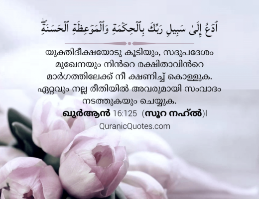 #19 The Quran 16:125 (Surah an-Nahl)