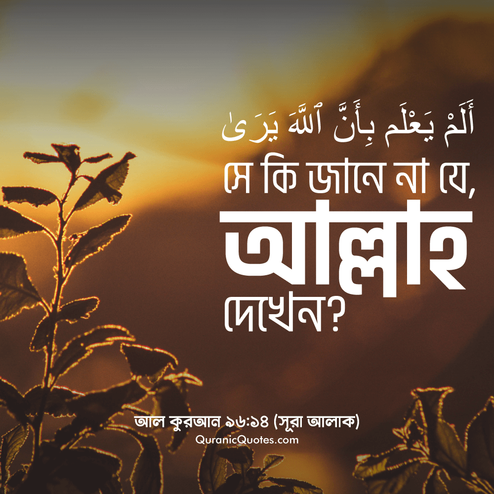 Quranic Quotes in Bangla 23