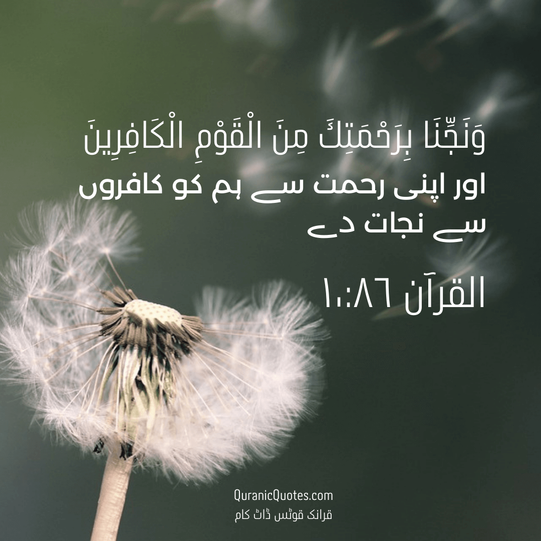 Quranic Quotes in Urdu 335
