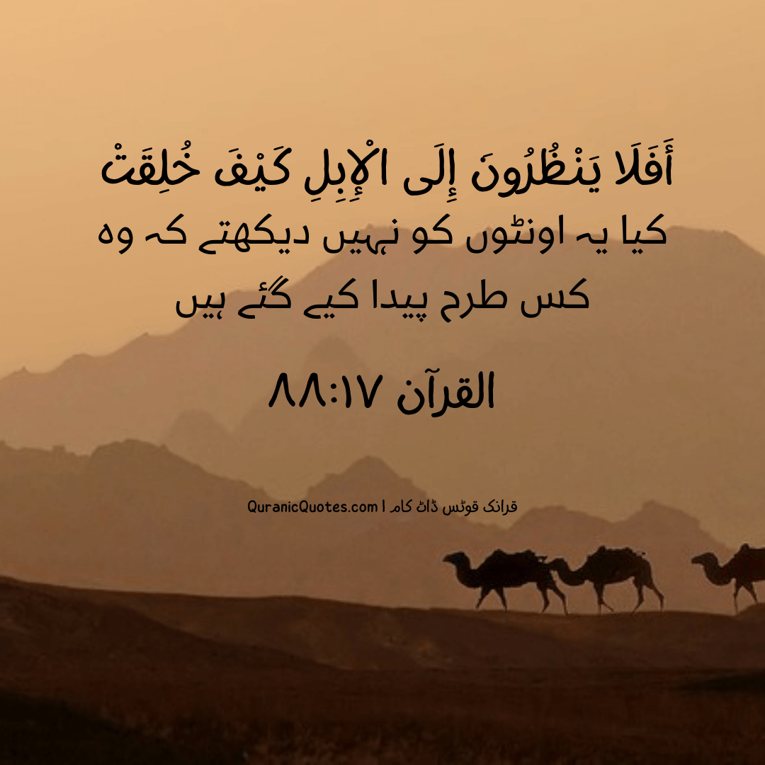 Quranic Quotes in Urdu 351