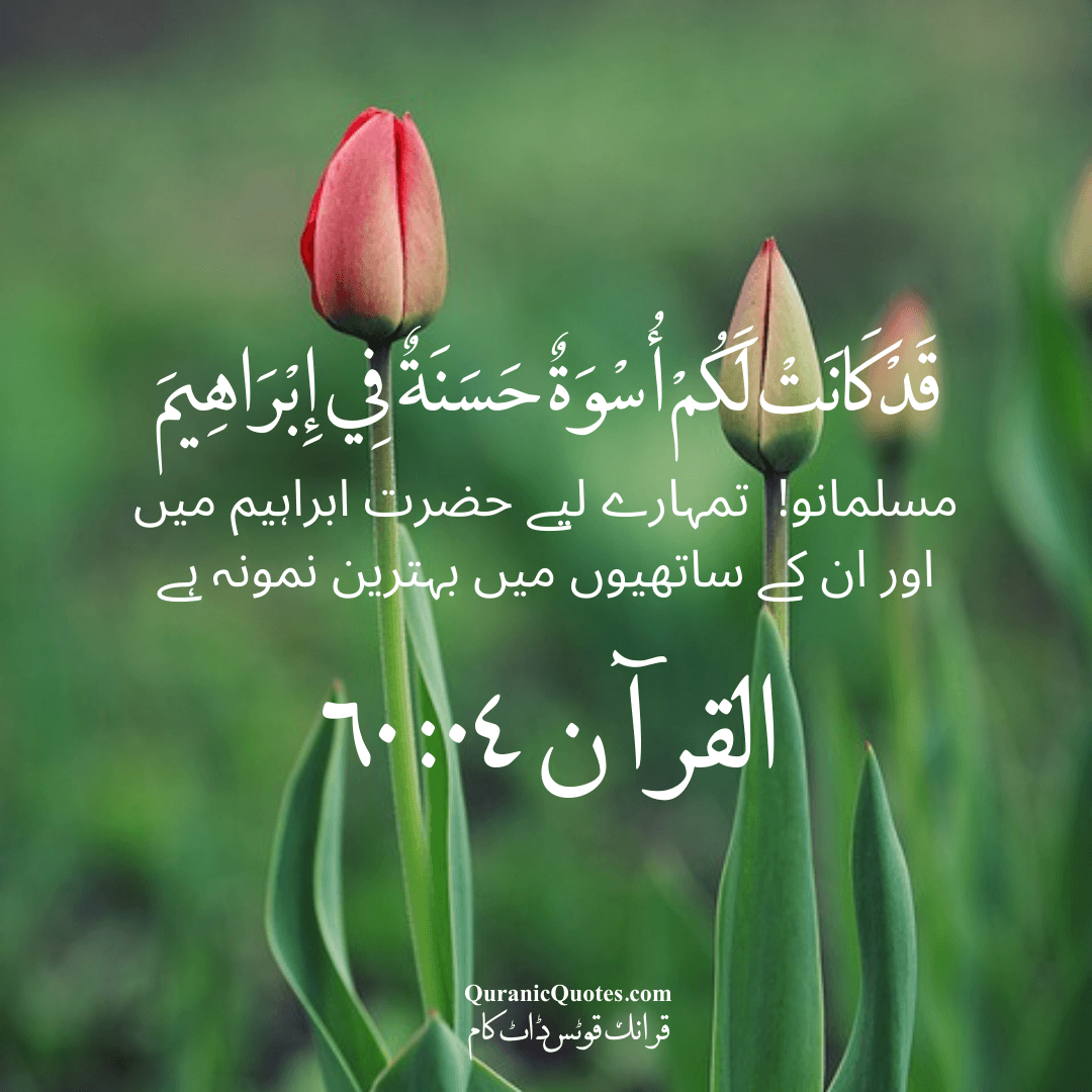 Quranic Quotes in Urdu 356