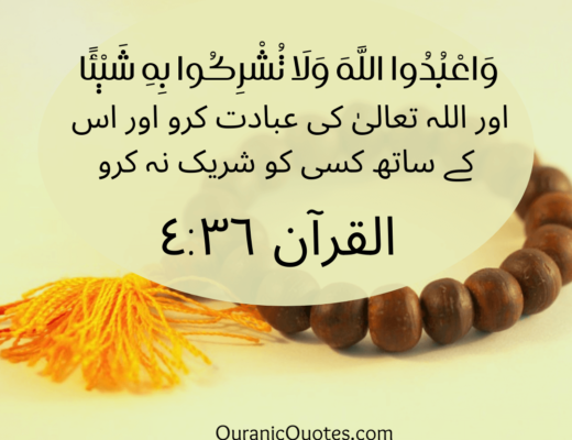 #360 The Quran 04:36 (Surah an-Nisa)