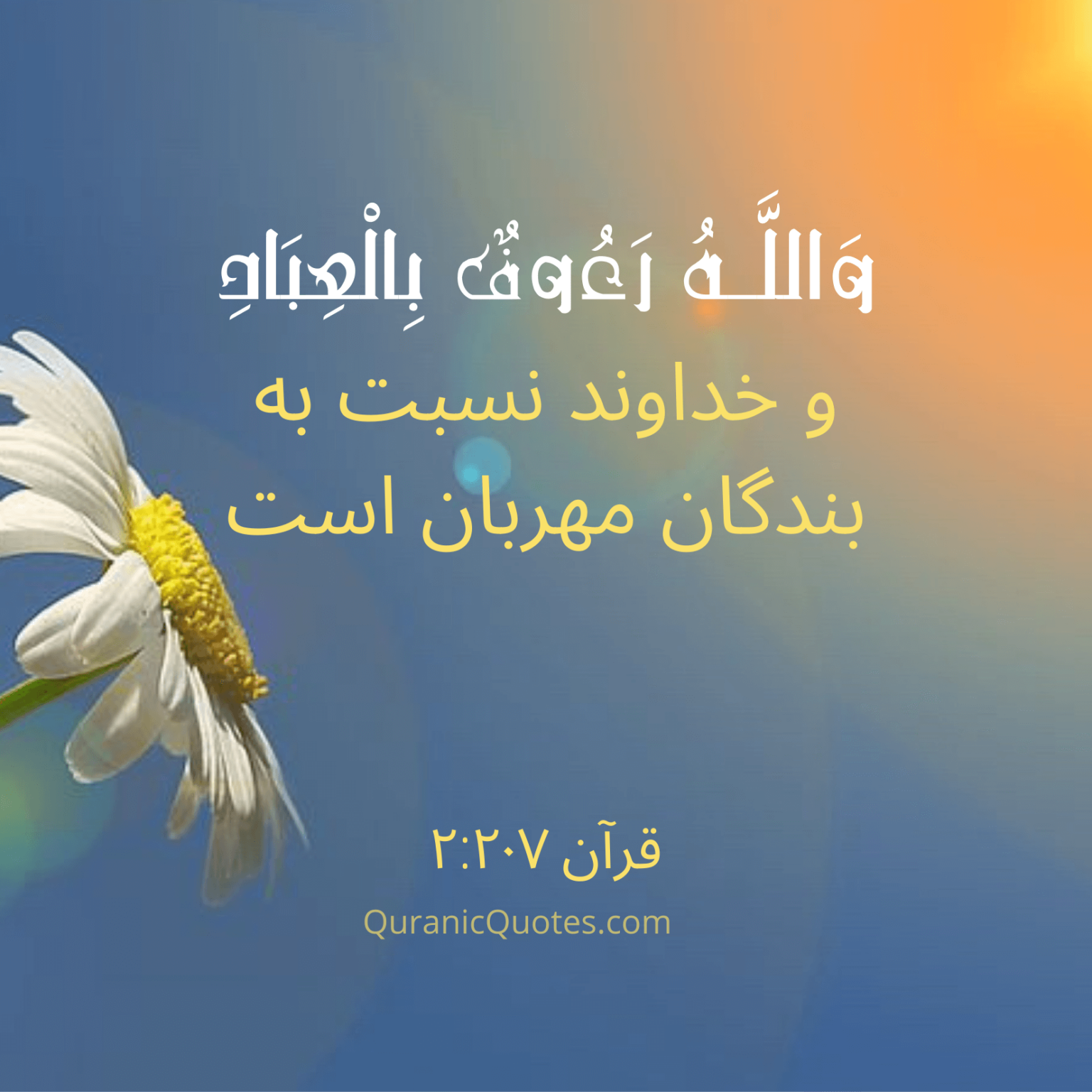 Quranic Quotes in Farsi 124
