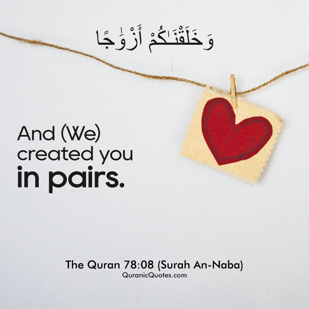 Quranic Quotes in English 430