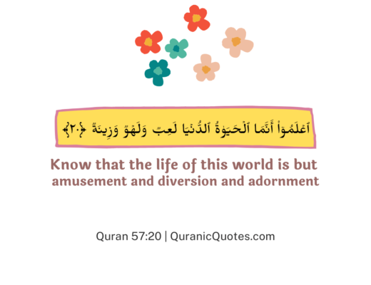 #459 The Quran 57:20 (Surah al-Hadid)