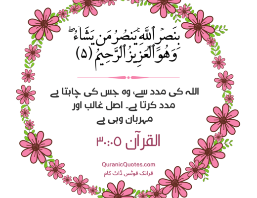 #383 The Quran 30:05 (Surah ar-Rum)