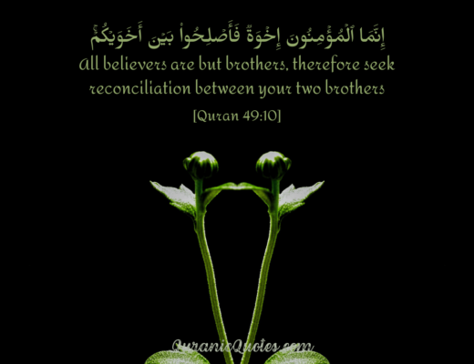 #469 The Quran 49:10 (Surah al-Hujurat)
