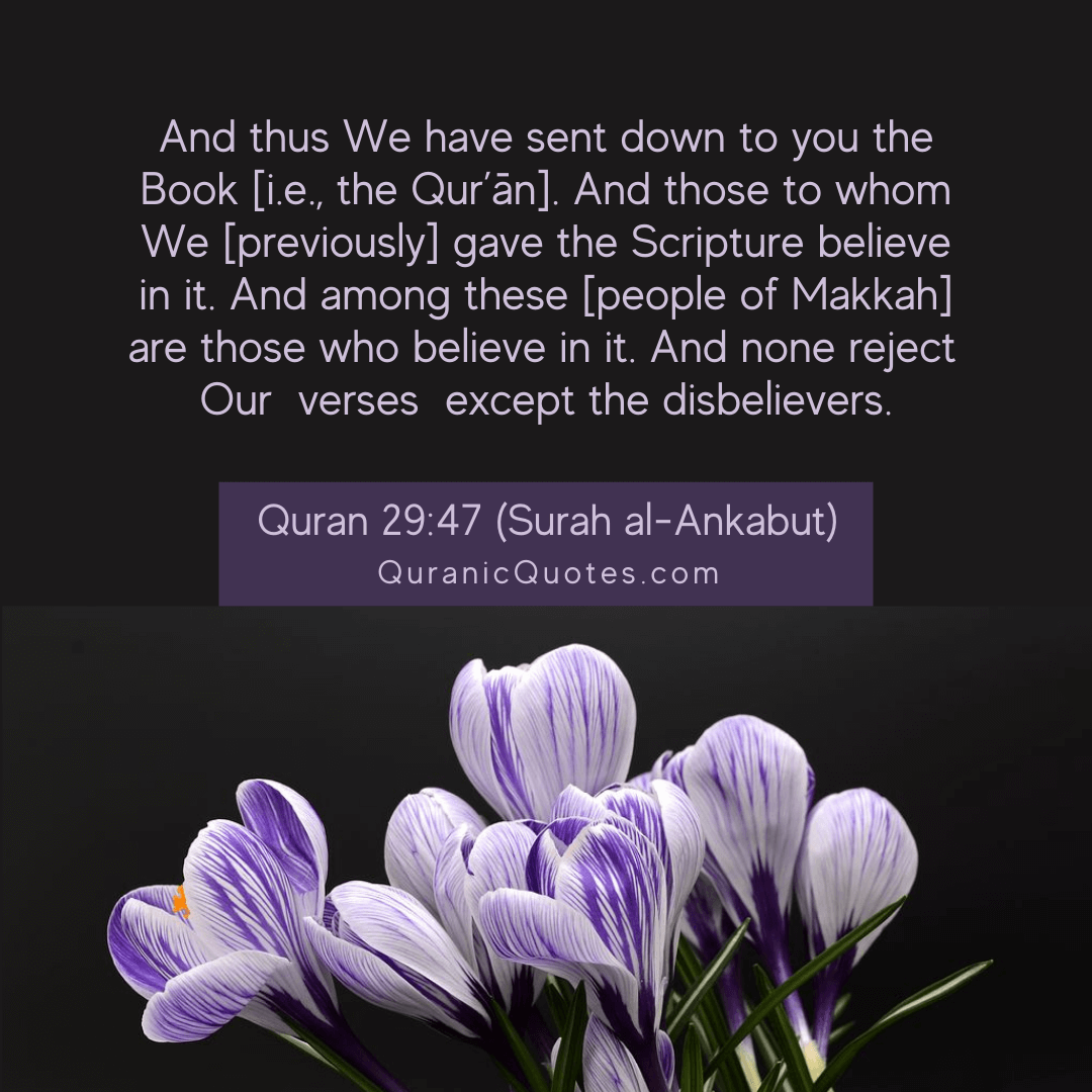 Quranic Quotes in English 485