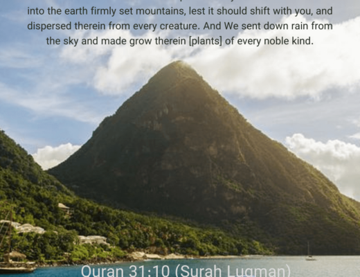 #490 The Quran 31:10 (Surah Luqman)