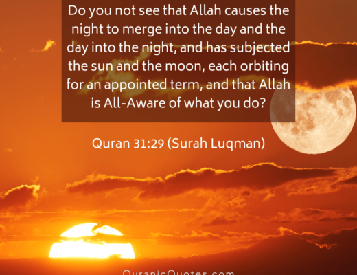 #491 The Quran 31:29 (Surah Luqman)