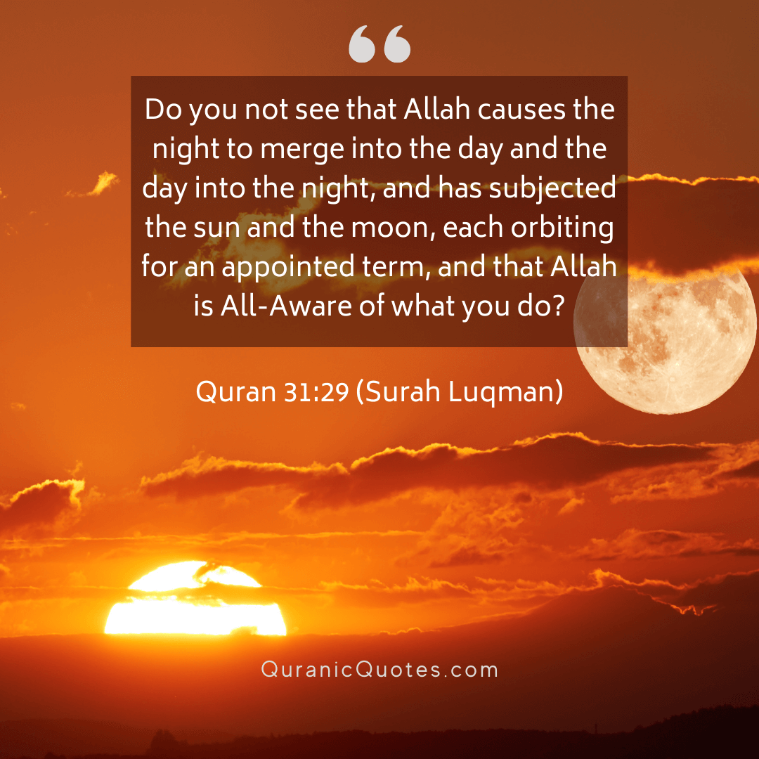 Quranic Quotes in English 491