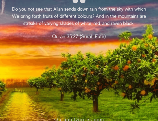 #494 The Quran 35:27 (Surah Fatir)