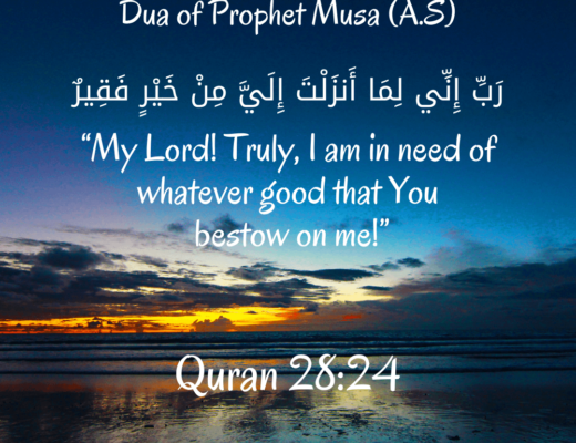 #496 The Quran 28:24 (Surah al-Qasas)